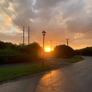 Meet your Posher, Casey